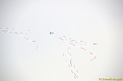 Cervia Cup - Euro Cup 2013 - 161
